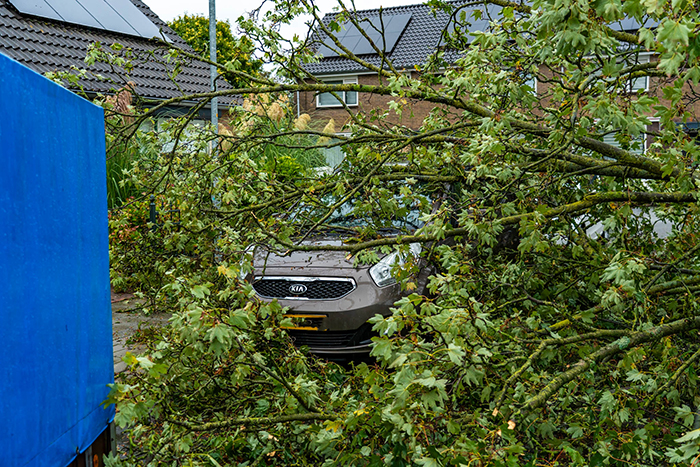 Boom op auto storm Amy Harderwijk