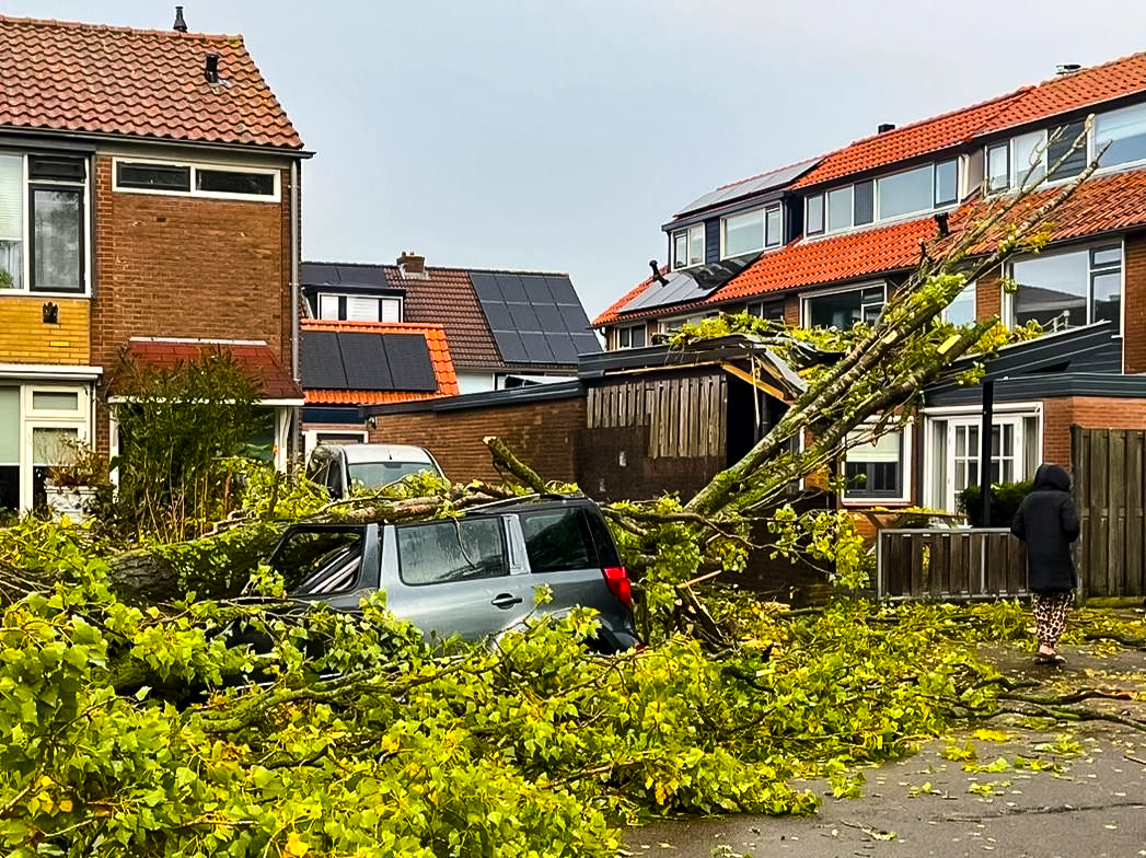 Storm Benjamin boom op auto Harderwijk