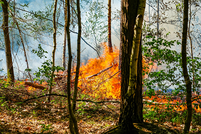 Brand Koeweg Harderwijk