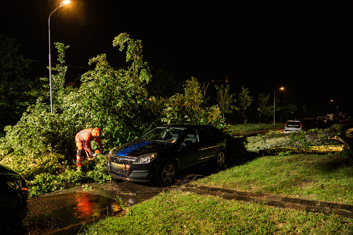 boom valt op parkeerde auto