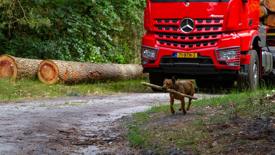 Beelen Transport en Houthandel