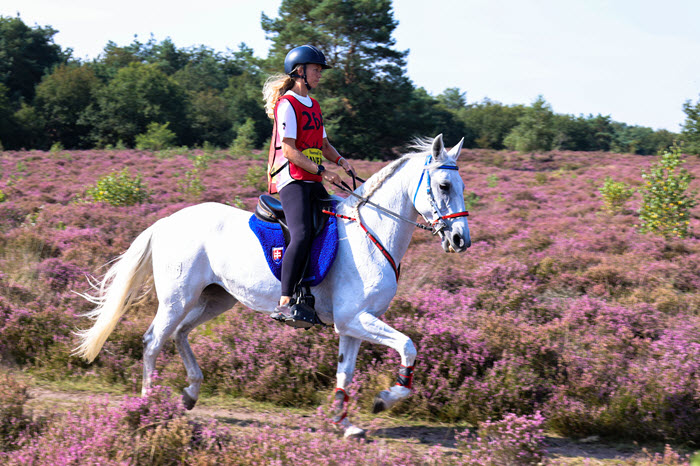 Endurance Vakfoto.nl