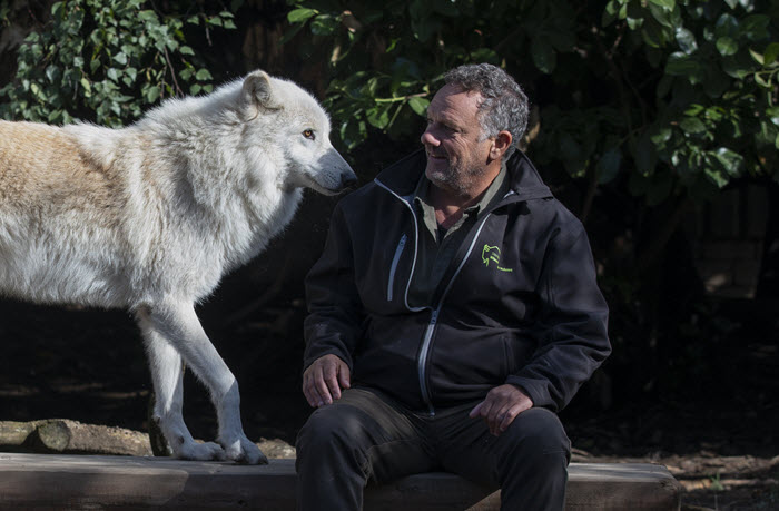 Bibliotheek Noordwest Veluwe wolf