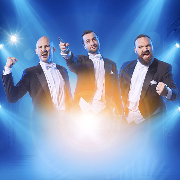 The Diamond Baritones