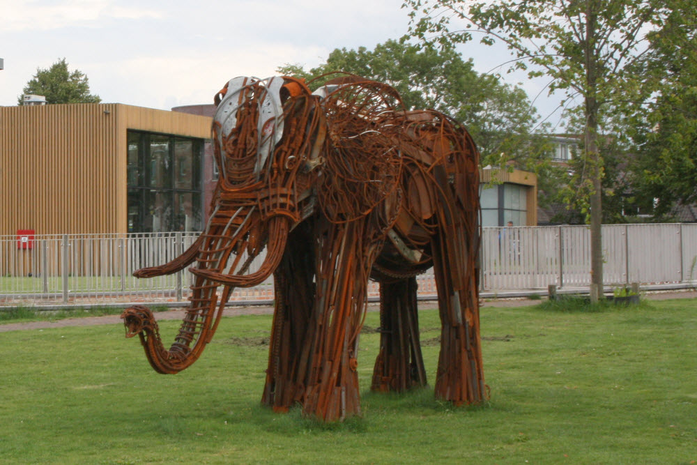 Door Harderwijk heen staan vier metalen dieren, Een Krokodil, Olifant, Leeuw en een Gorilla ze zijn alle onderdeel van een tijdelijke expositie.