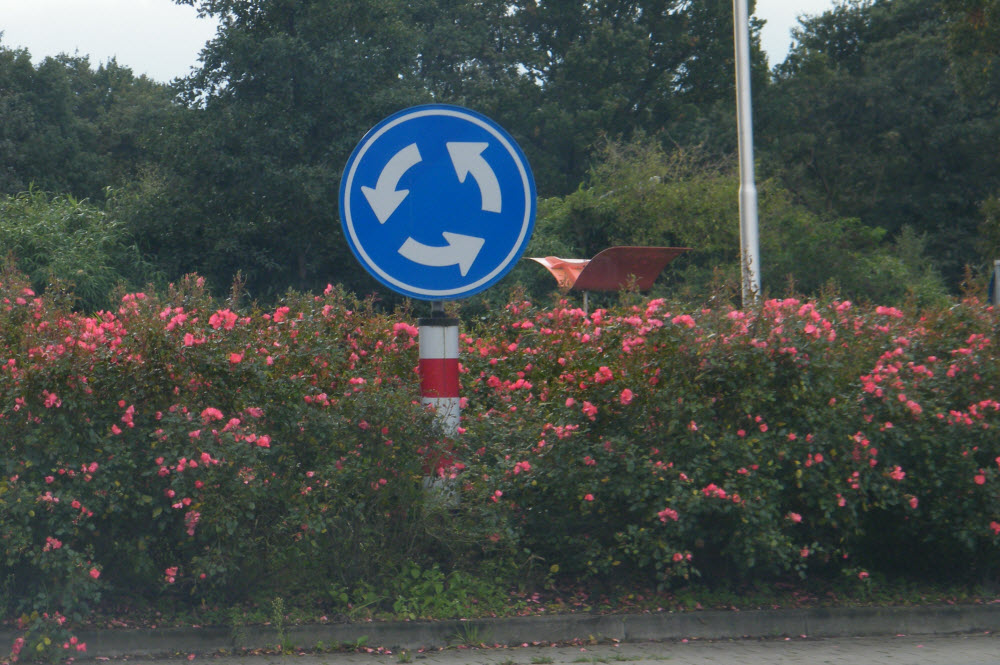 Vlinders op de rotonde's rond Drielanden Harderwijk roze.