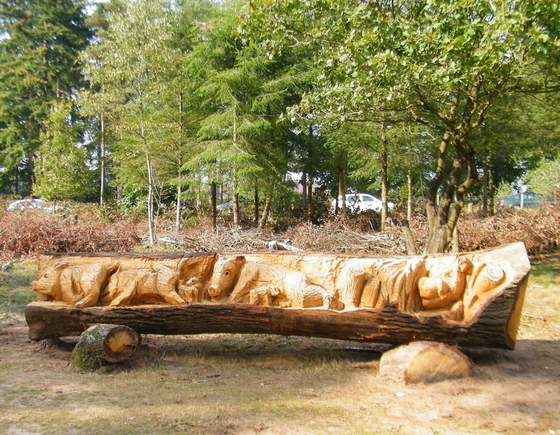 Wilde Zwijnen natuurspeeltuin Watertorenweg Peter van der Meijs