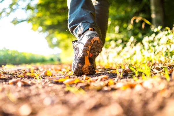 Wandelen in het bos DB Online Marketing