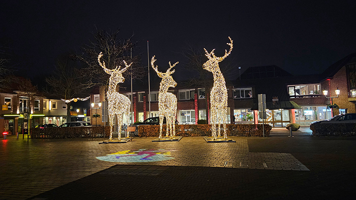 verlichte herten Nunspeet