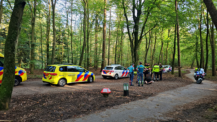 Mishandeling Hulshorst