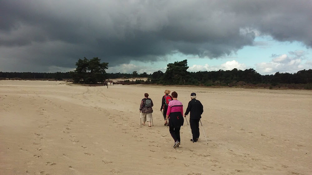 Nordic Walking op de Zandverstuiving Harderwijk