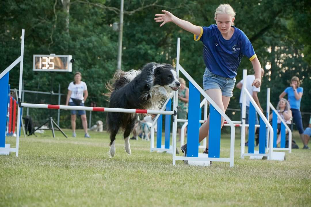 Kynologenclub Noord-West Veluwe