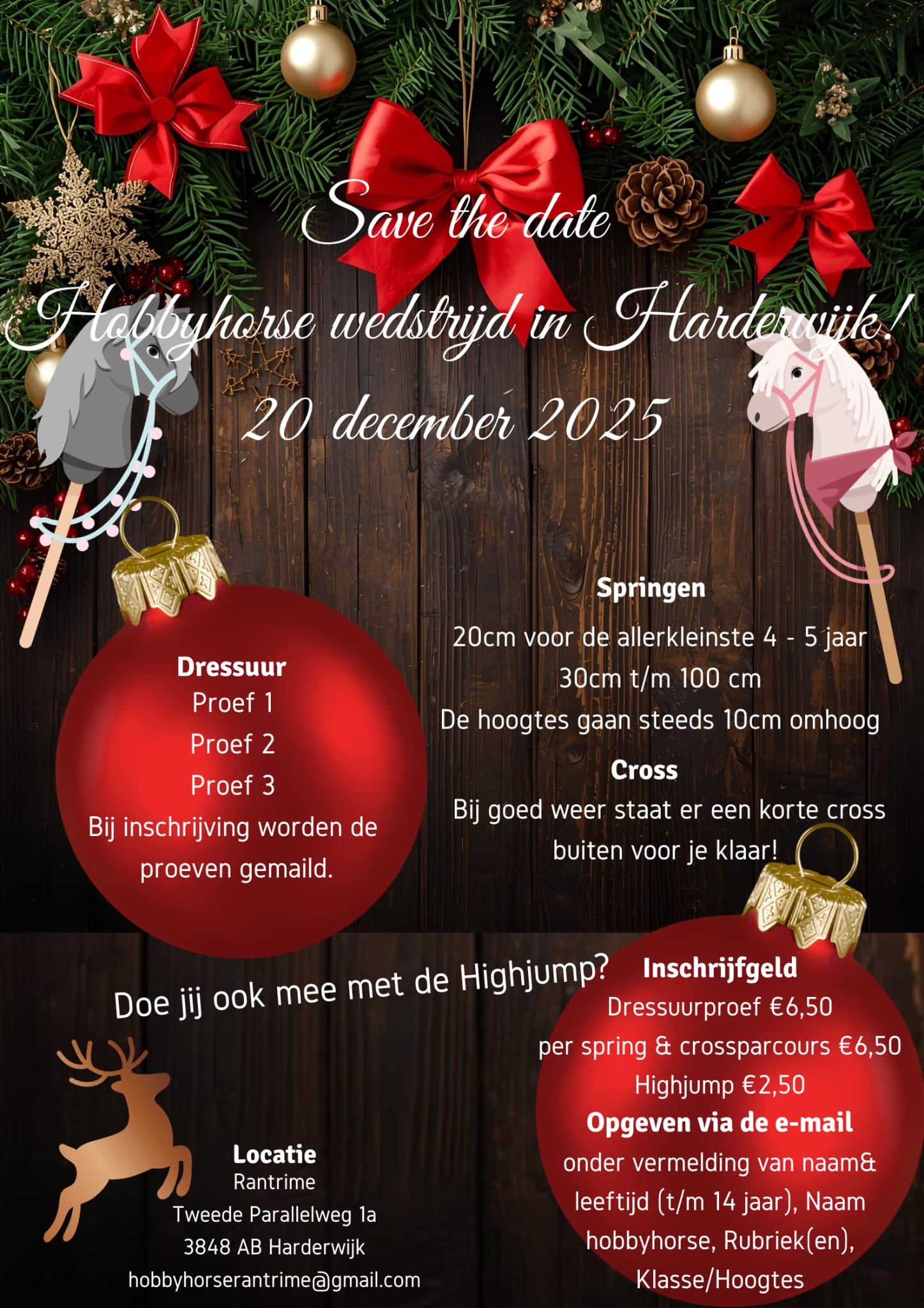 Hobby Horse Wedstrijd Manege Rantrime Hierden