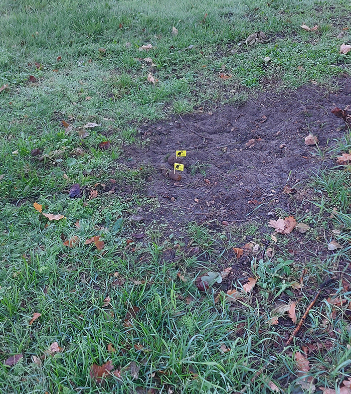 Hondenpoep vlaggetjes