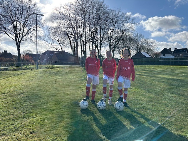 Regioteam Veluwe en Omstreken