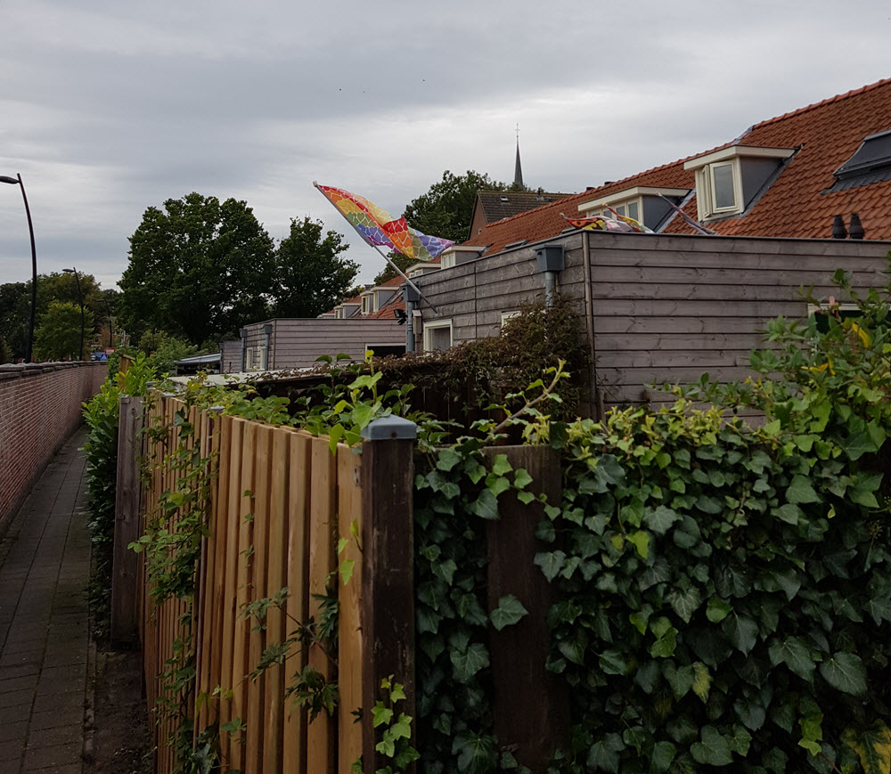 Regenboogvlag Harderwijk HZ