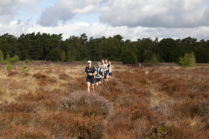 Veluwse Trailrun 2026