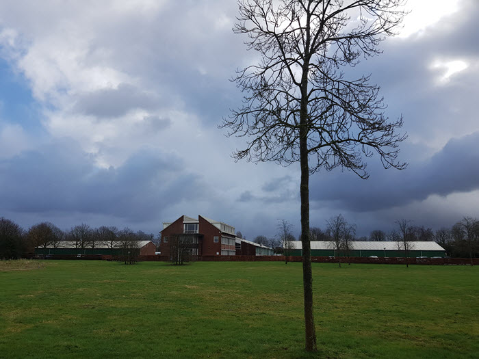 Terrein Sight Landscaping Groene Zoomweg Harderwijk
