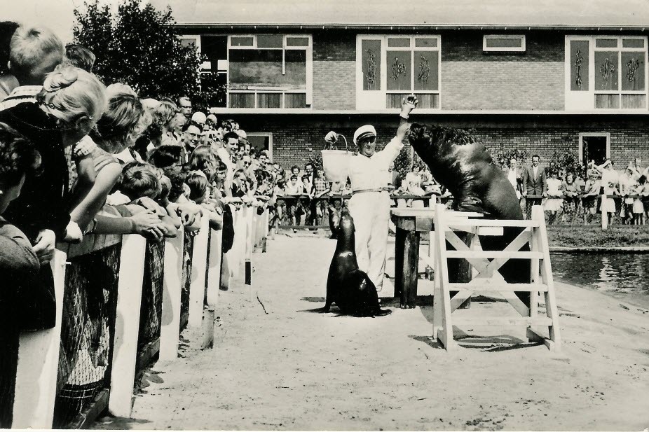 1965 - Dolfinarium Harderwijk gaat open