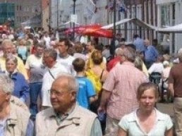 Harderwijkse zomerbraderie