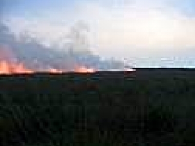 Versterking natuurbrandpreventie bij Sonnevanck Harderwijk