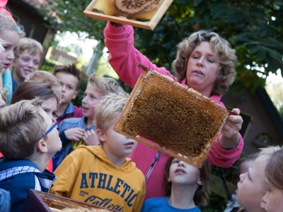 Groep 5 en 6 van basisschool 'de Parel' uit Hierden op bijen excursie bij imker Andrea Jacobs 