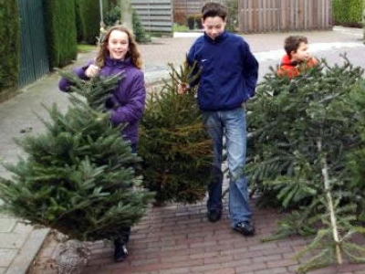 Drie straten winnen een kerstboom met Facebookactie van de Gemeente Harderwijk