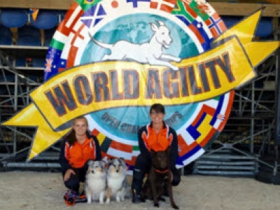 Hondenvereniging GHSV organiseert Agility Benefiet wedstrijd