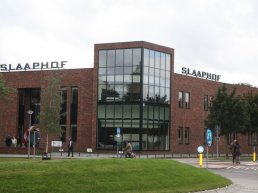 Slaap advies dagen bij Slaaphof Harderwijk