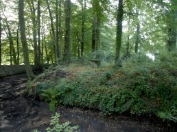 Moordverhalen op landgoed Staverden