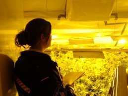 Harderwijk tenminste drie maanden zonder coffeeshop