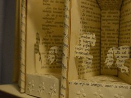Openingsactiviteiten Bibliotheek: Expositie Boekbeleving