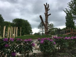 Stem vanaf woensdag 16 augustus op hét Stadsidee 2017