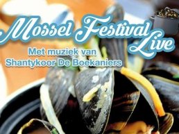 Spectaculair mosselfeest op de markt in Harderwijk