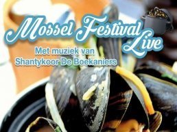 Spectaculair mosselfeest op de markt in Harderwijk