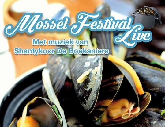 Spectaculair mosselfeest op de markt in Harderwijk