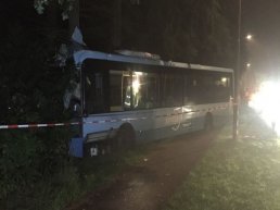 'Onwel geworden' buschauffeur knalt frontaal tegen boom