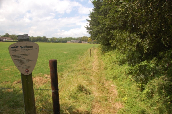 Kritiek op Natuurmonumenten over verloedering gebied de Mheenlanden