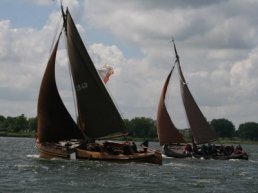 Bokkingrace 2018 Harderwijk