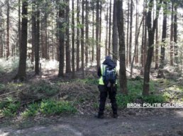 Politie vindt lichaam in bos bij Nunspeet.