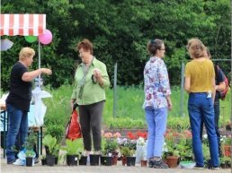 Plantjesmarkt groei & bloei