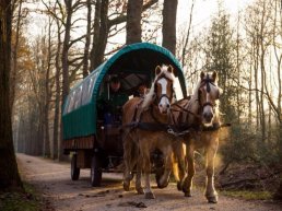 Staverdense huifkartocht