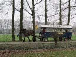 Huifkartocht kiekje in de bedstee