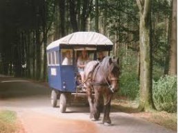 Avondschemer huifkartocht