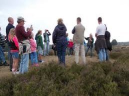 Avondzwerfwandeling over de Ermelosche Heide