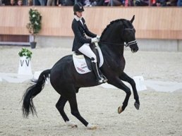 NK dressuur in Ermelo