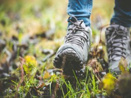 Lange dagwandeling over landgoed Staverden en Leuvenum