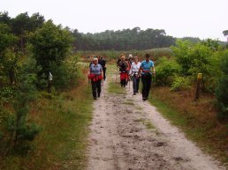 Beginnerscursus nordic walking start weer