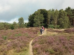 Nieuwe wandelroutes en Linnaeuspad in Harderwijk