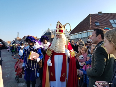 Foto's van de intocht van Sinterklaas in Harderwijk